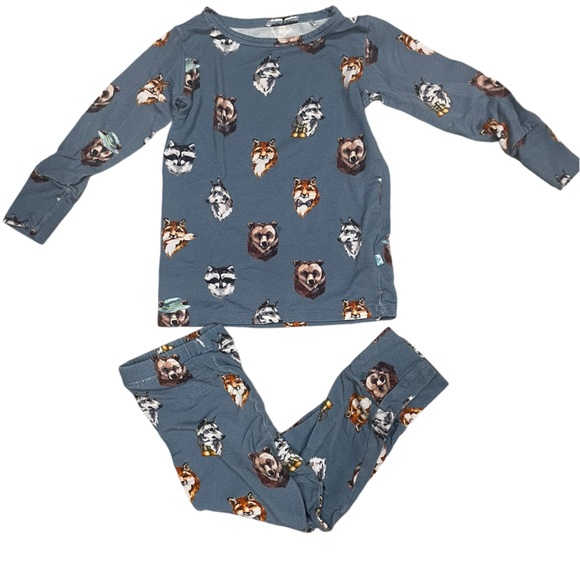 Posh Peanut kids pajama set in size 18-24 mon. Cute little forest animal print. - Picture 1 of 3